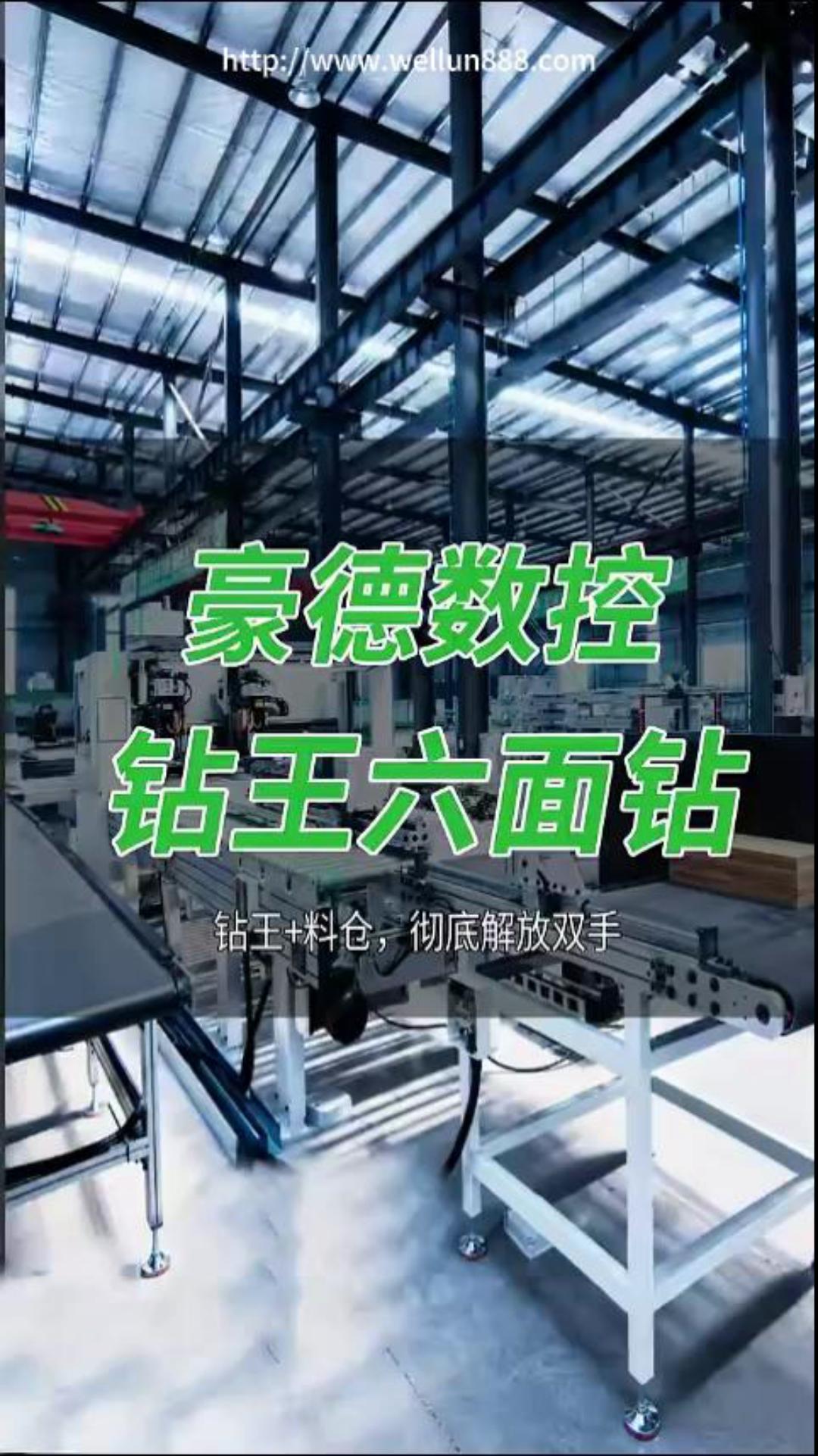 豪德数控钻王六面钻（料仓+钻王）#華倫機械#华伦科技#wellun